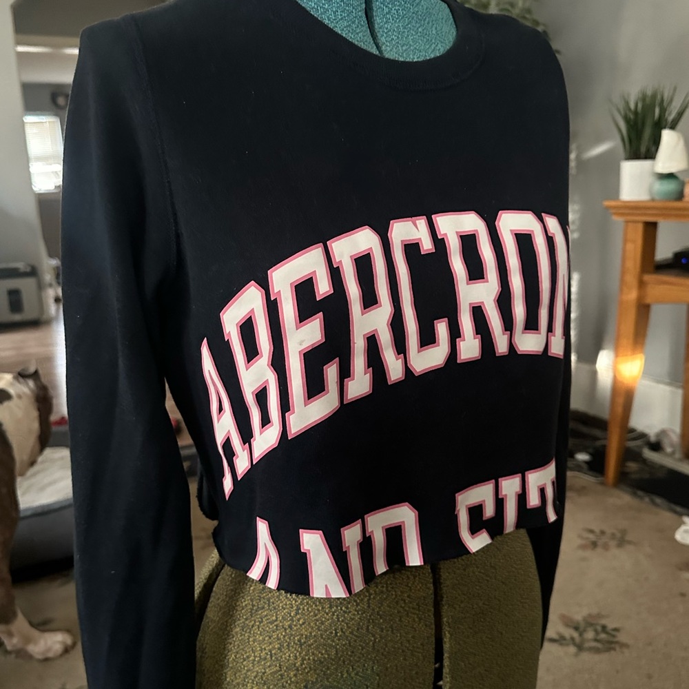 Abercrombie and Fitch Cropped Sweater
